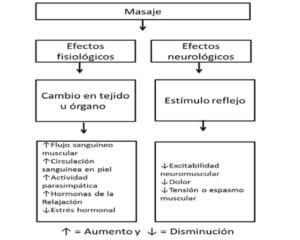 Efectos del masaje en el deporte de élite
