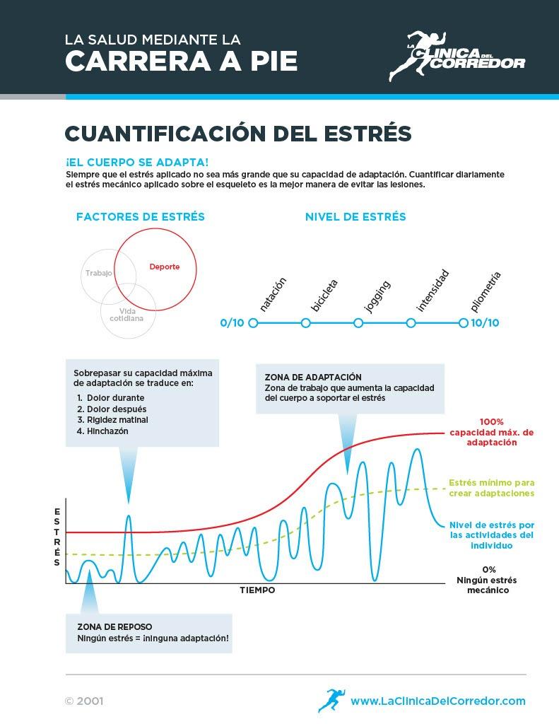 estrés mecánico